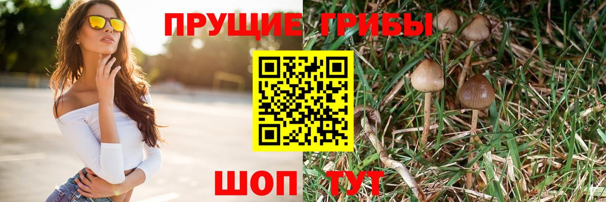 закладки  Вход с VPN  Новотроицк  Псилоцибиновые грибы прущие грибы 
